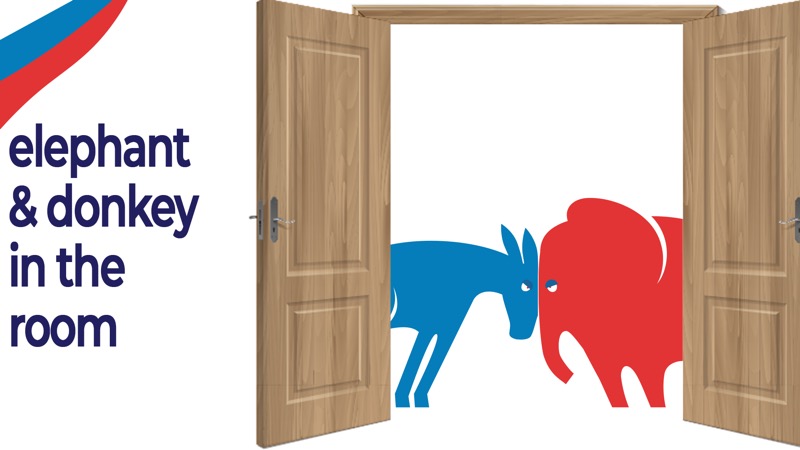 Elephant and Donkey in the Room
