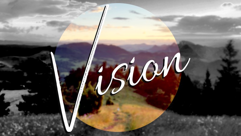 Vision
